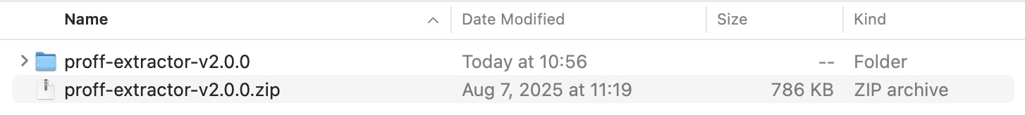 unzip Proff Extractor chrome extension