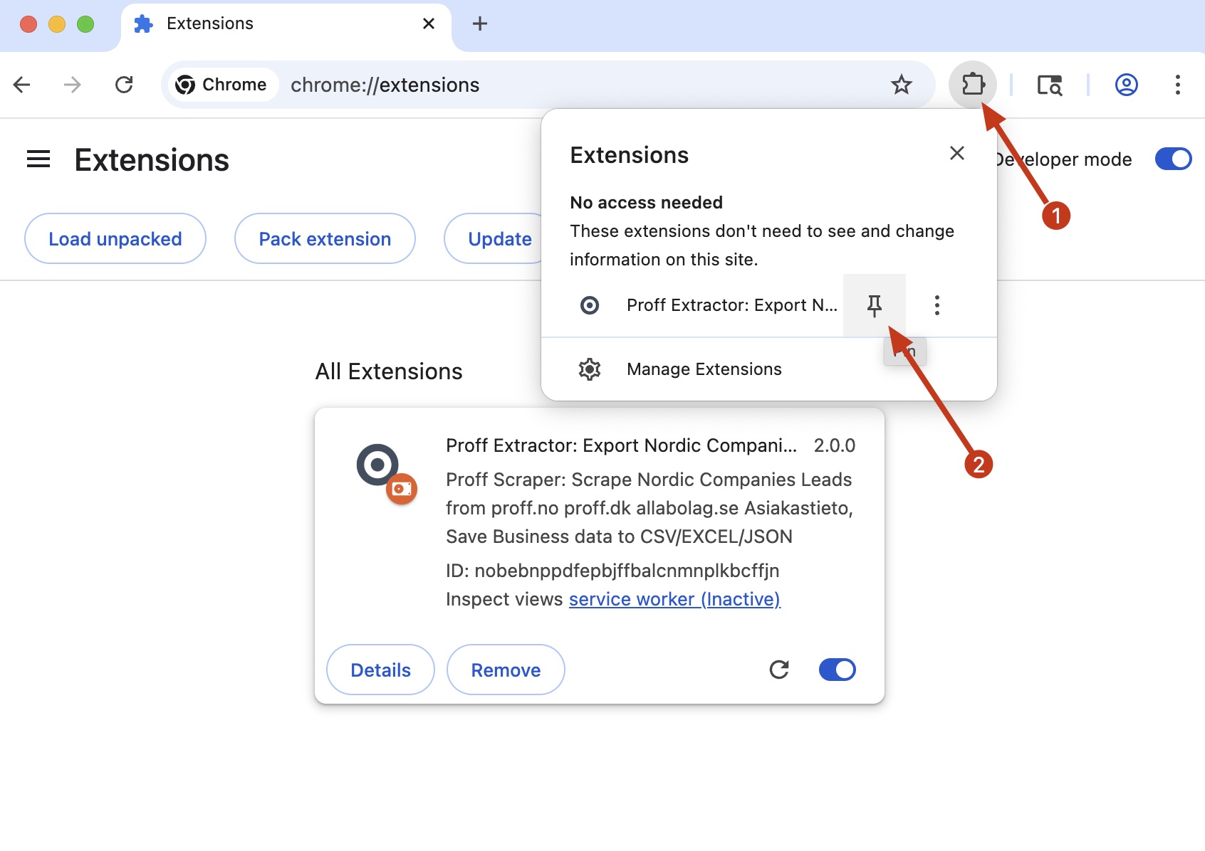 Proff Extractor chrome extension install pin